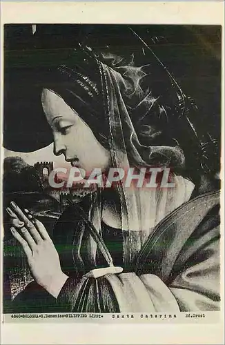 Cartes postales moderne Bologna S Domenico Filippino Lippi Santa Caterina