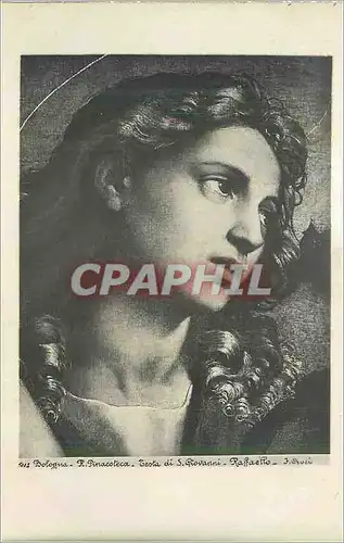 Cartes postales moderne Bologna Pinacoteca  Testa di S Giovanni Raffaello