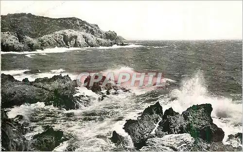 Cartes postales moderne St Aygulf (Var) La Cote d'Azur Coup de Mer