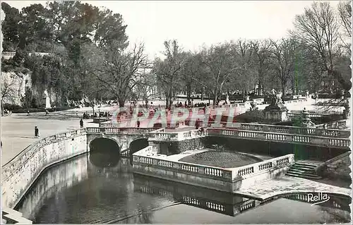 Cartes postales moderne Nimes (Gard) Le Jardin de la Fontaine