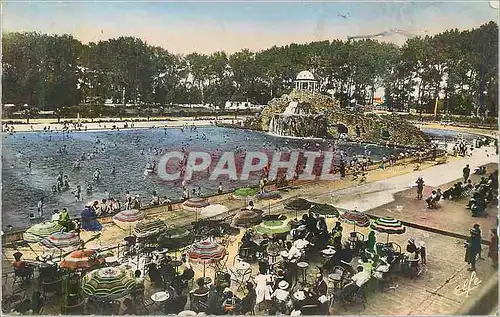 Cartes postales moderne Toulouse Piscine Municipale Terrasse et Grand Bassin