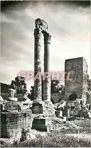 Moderne Karte Arles (B du R) Les Colonnes du Theatre Antique