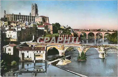 Cartes postales moderne Albi Tarn Vue sur le Tarn et la Basilique Ste Cecile