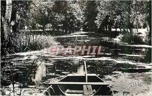 Cartes postales moderne Deux Serves