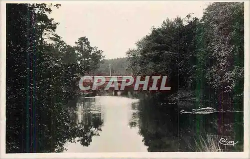 Moderne Karte Mimizan le Foret (Landes) Le Pont des Trounques