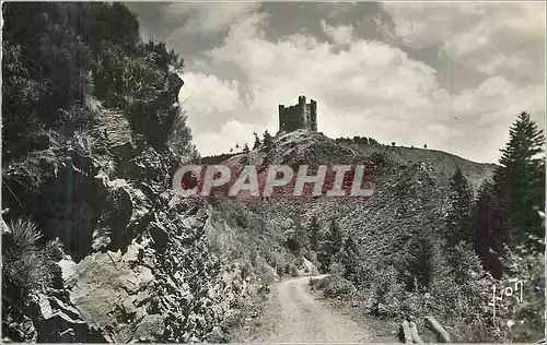 Cartes postales moderne Environs de Saint Flour (Cantal) Ruines du Chateau d'Alleuze