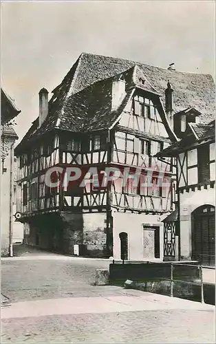 Cartes postales moderne Obernai (Bas Rhin)