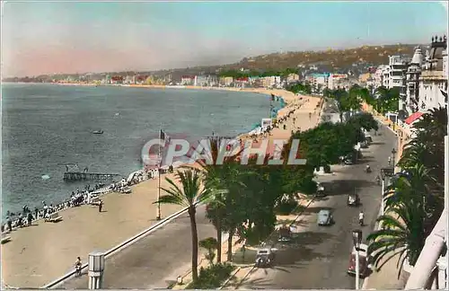 Cartes postales moderne Nice (Alpes Maritimes) La Promenade des Anglais
