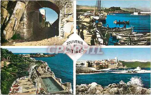 Cartes postales moderne Souvenir d'Antibes Cote d'Azur Bateaux de peche