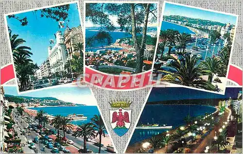 Cartes postales moderne Nice La Cote d'Azur La Promenade des Anglais