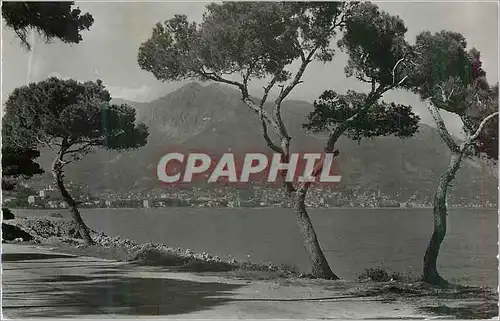 Cartes postales moderne Menton La Cote d'Azur Vue prise du Cap Martin