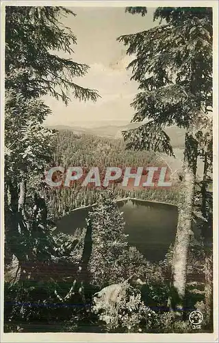 Cartes postales moderne Feldberg (Schwarzwald) 1500 m u M Feldsee