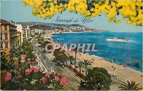 Cartes postales moderne Nice Promenade des Anglais