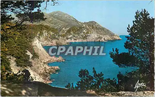 Cartes postales moderne Cote d'Azur Les Calanques du Mont Salva et le Cap Sicie