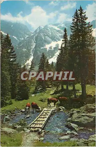 Cartes postales moderne Les Alpes en Couleurs Naturelles Sentier Pittoresque en Montagne