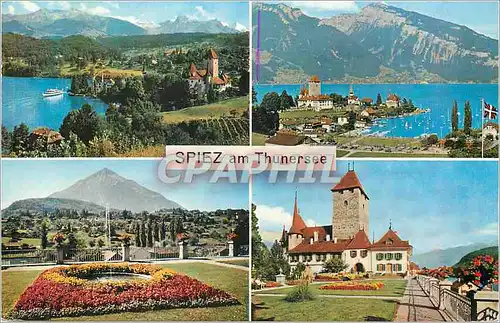 Cartes postales moderne Spiez am Thunersee