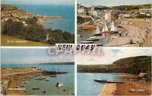 Cartes postales moderne New Quay