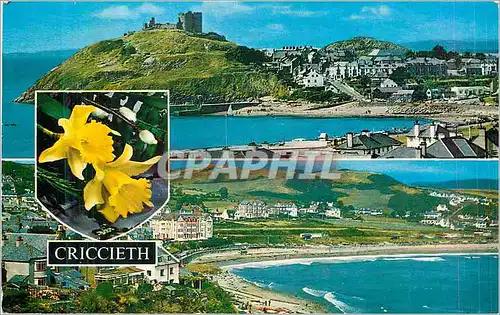 Moderne Karte Sea Front and Castle Criccieth from the Castle