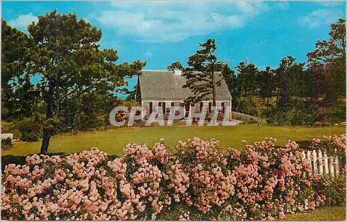 Cartes postales moderne Authentic Cape Cod House Princetown