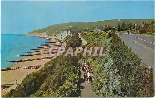 Cartes postales moderne Beach Head and Western Parades Eastbourne