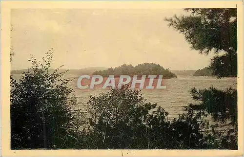 Cartes postales moderne En Morvan Lac des Settons Une Ile