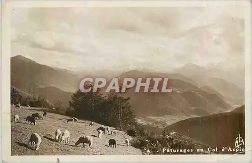 Moderne Karte les Pyrenees Col d'Aspin Paturages au Col d'Aspin