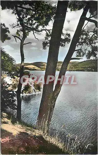 Cartes postales moderne Saint Ferreol (H G ) Les Rives du Bassin