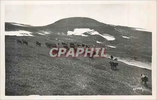 Cartes postales moderne Le Plomb du Cantal (1858 m)