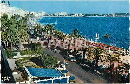 Cartes postales moderne Cannes (A M) Reflets de la Cote d'Azur Vue d'Ensemble de la Croisette