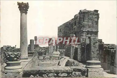 Cartes postales moderne Tunisie