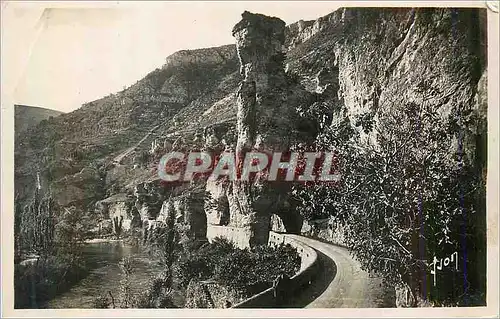 Cartes postales moderne Gorges du Tarn Pougnadoires (Lozere) La Tour Eiffel