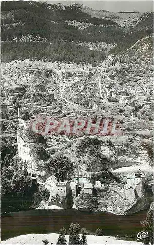 Cartes postales moderne Gorges du Tarn Castelbouc