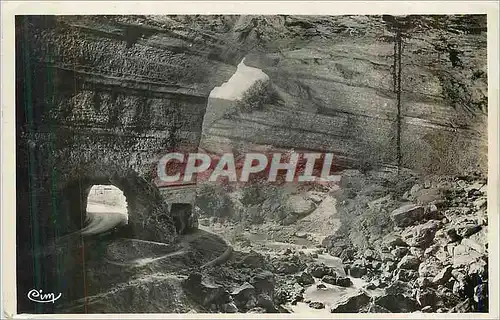 Cartes postales moderne Grotte du Mas d'Azil (Ariege) Sortie Cote St Cirons