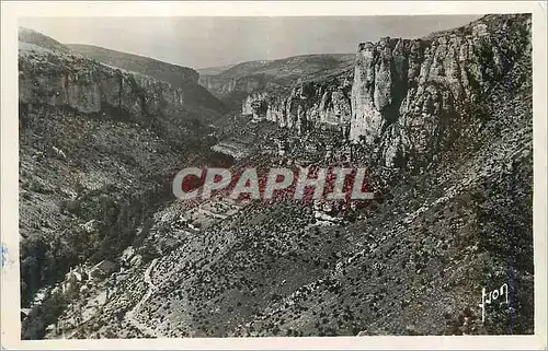 Cartes postales moderne Canon de la Jonte