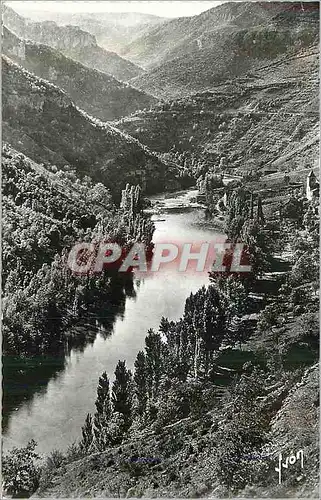Cartes postales moderne Gorges du Tarn Prades (Lozere) Les Rives du Tarn