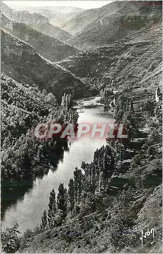 Moderne Karte Gorges du Tarn Prades (Lozere) Les Rives du Tarn