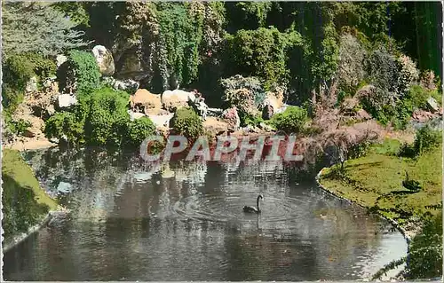 Cartes postales moderne Paris Bagetelle La Grotte et les Cygnes Noirs