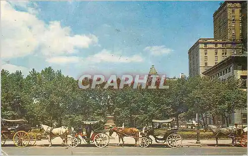 Moderne Karte New York City Carriages on 59 th Street