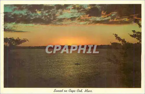 Cartes postales moderne Sunset on Cap Cod Mass