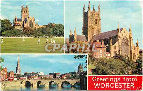 Moderne Karte Greetings from Worcester Cricket Ground and Cathedral River
