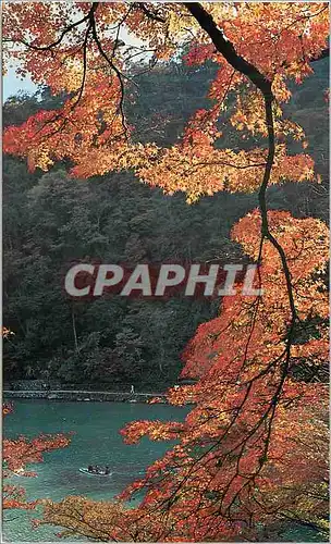 Cartes postales moderne Togetsukyo Bridge