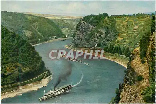 Cartes postales moderne Der Rhein im Feisental der Loreley
