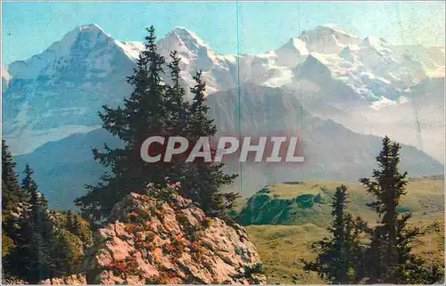 Cartes postales moderne Schynige Platte Eige Monch Jungfrau