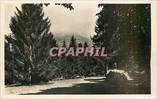 Cartes postales moderne Le Fayet Saint Gervais Haute Savoie Un coin du parc et les Aiguilles de Warens