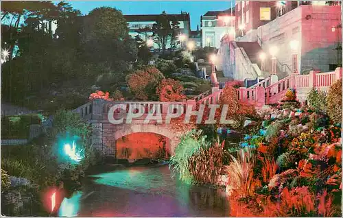 Cartes postales moderne The pavilion rockeries by night Bournemouth
