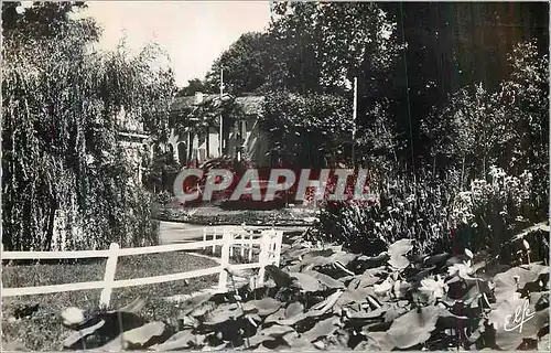 Cartes postales moderne Barbotan les Thermes Gers Bassin des Lotus et le parc