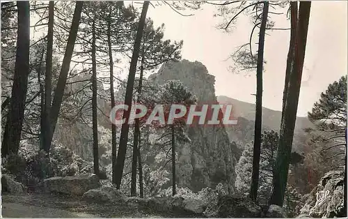 Cartes postales moderne Piana Dans le Calanche