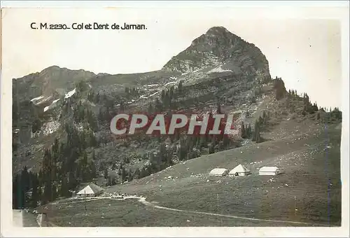 Cartes postales moderne Col et Dent de Jaman