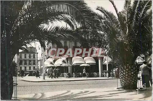 Cartes postales moderne Place Arago et la Palmarium
