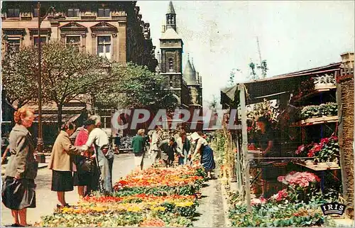 Cartes postales moderne Paris Le Quai aux Fleurs